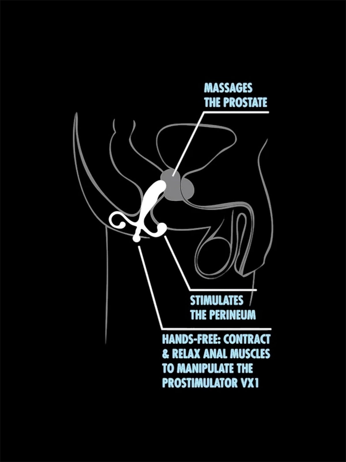 Anal Adventures By Blush® | Prostate Stimulator Black 5-Inch Anal Plug